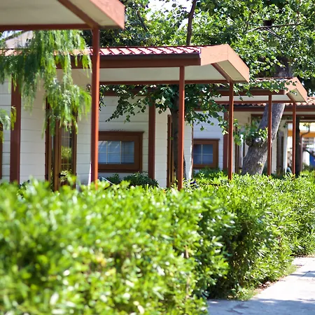 Sun Torino di Sangro