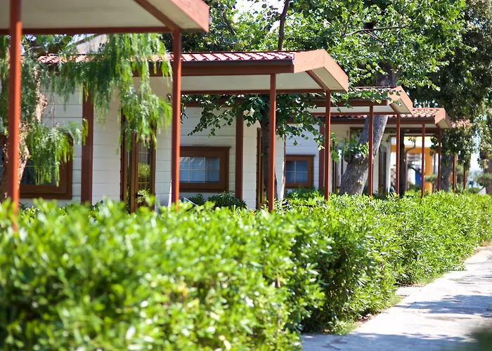 Sun Торино-ди-Сангро